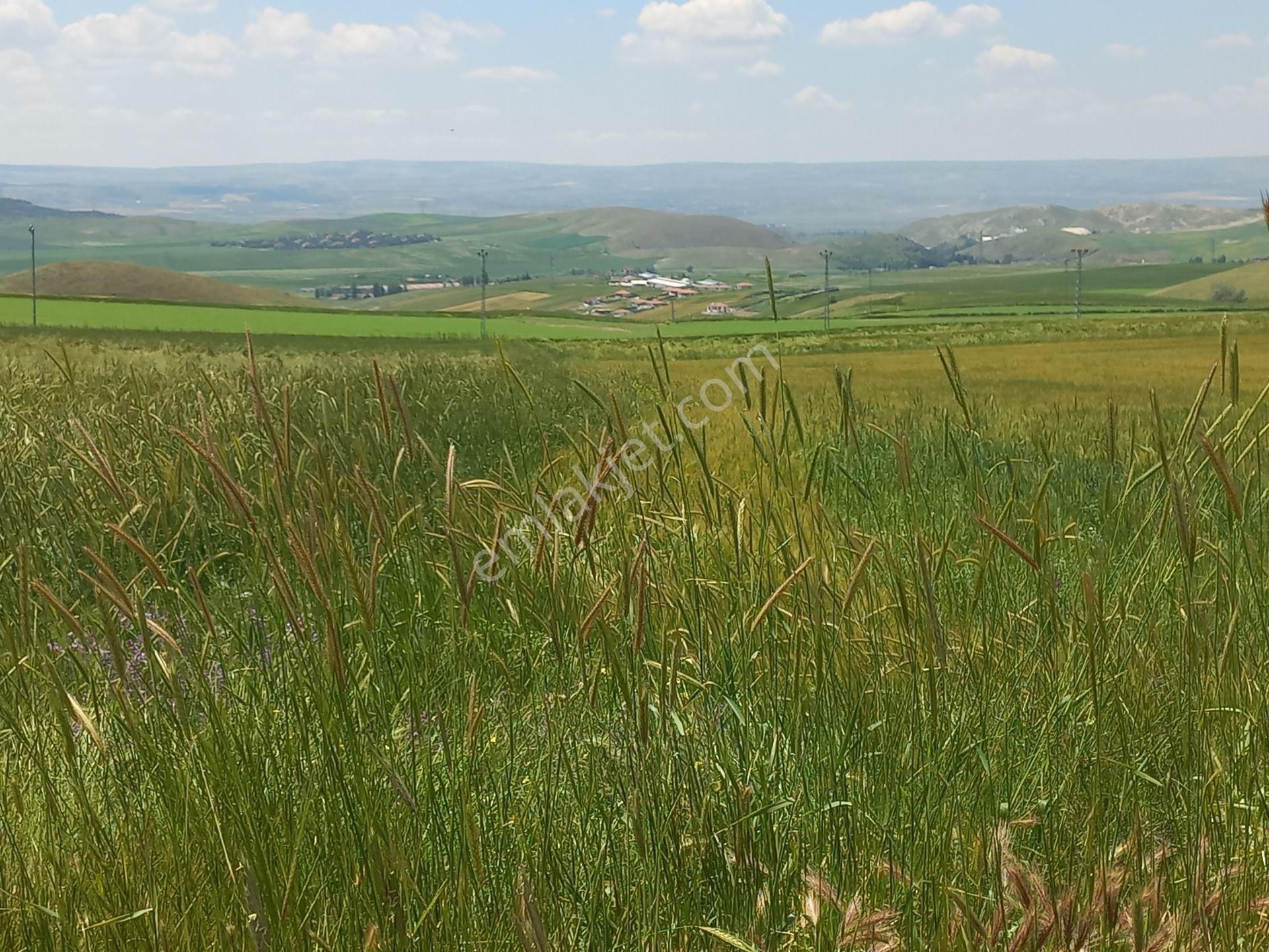 Gölbaşı Hacımuratlı Satılık Tarla Satılık Arsa Hacı Muratlı Mah. Gölbaşı Ankara