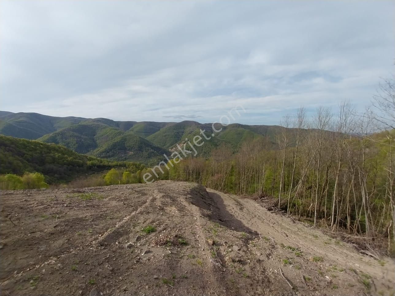 Kocaeli Gölcük Lütfiye Mahallesi. Satılık 2094 M² % 5 Tarla Vasıflı Arazi - Görsel 8