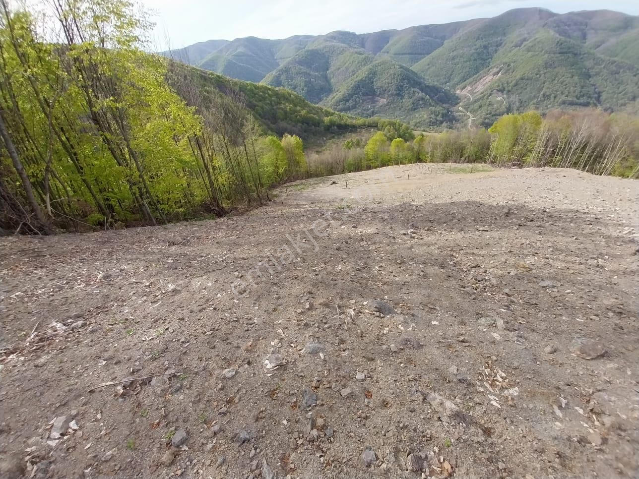 Kocaeli Gölcük Lütfiye Mahallesi. Satılık 2094 M² % 5 Tarla Vasıflı Arazi - Görsel 2