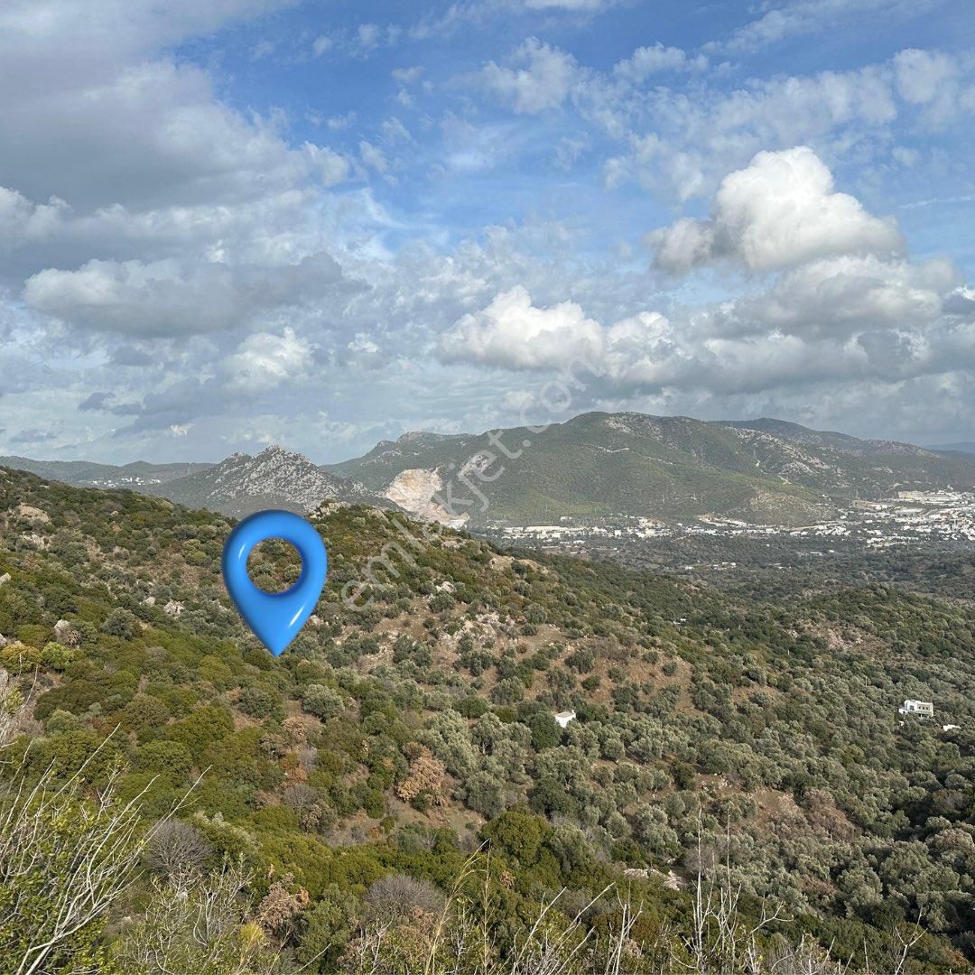 Bodrum Gürece Satılık Tarla Bodrum Gürecede Satılık Tarla