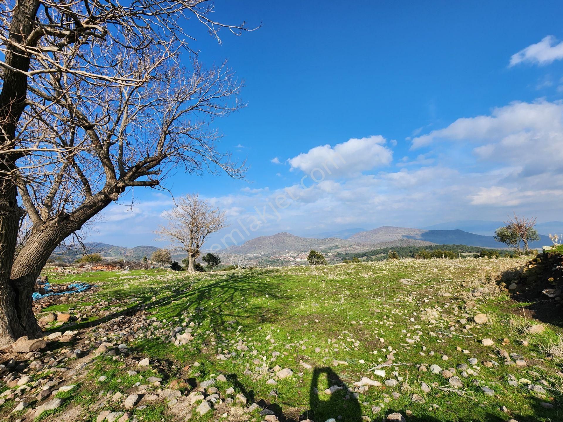 Dikili Demirtaş Satılık Muhtelif Arsa Turhan'dan Tilkitepe'de 1227m2 Doğa Manzaralı Arsa