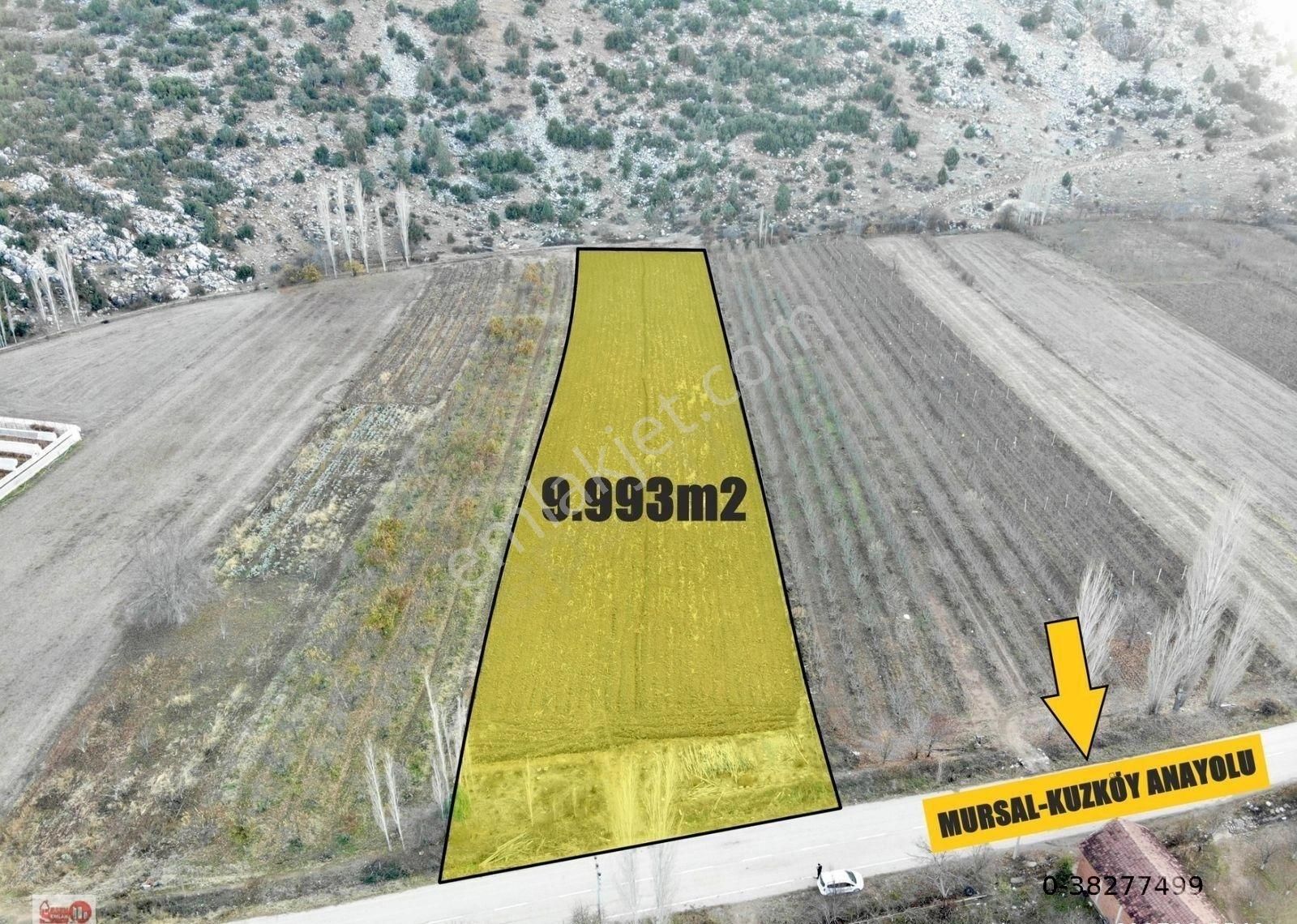 Antalya Elmalı Kuzköy Asfalt Yola Cephe Depo-ardiye-sera Yapımına Uygun 9.993m2 Satılık Tarla - Görsel 16