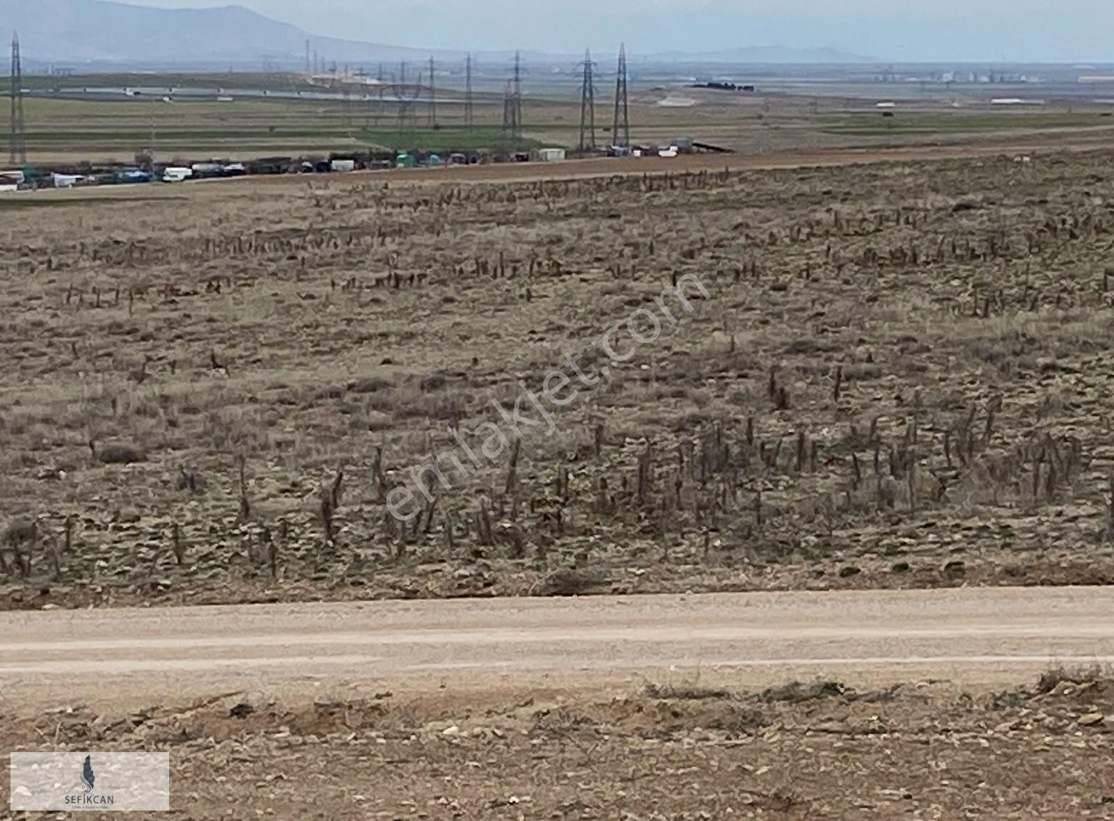 Selçuklu Çaltı Satılık Tarla Çaltı'da Müstakil Parsel Satılık