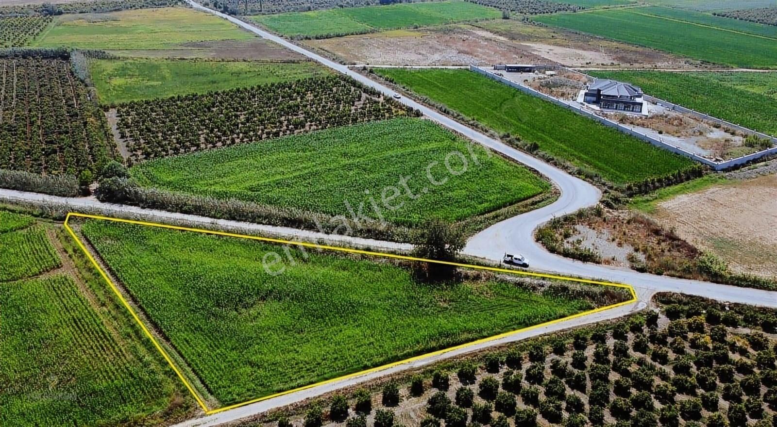 Ortaca Güzelyurt Satılık Bağ & Bahçe Yüksekkum'dan Ortaca'da Sarıgerme Plajına Yakın Arazi Satılık