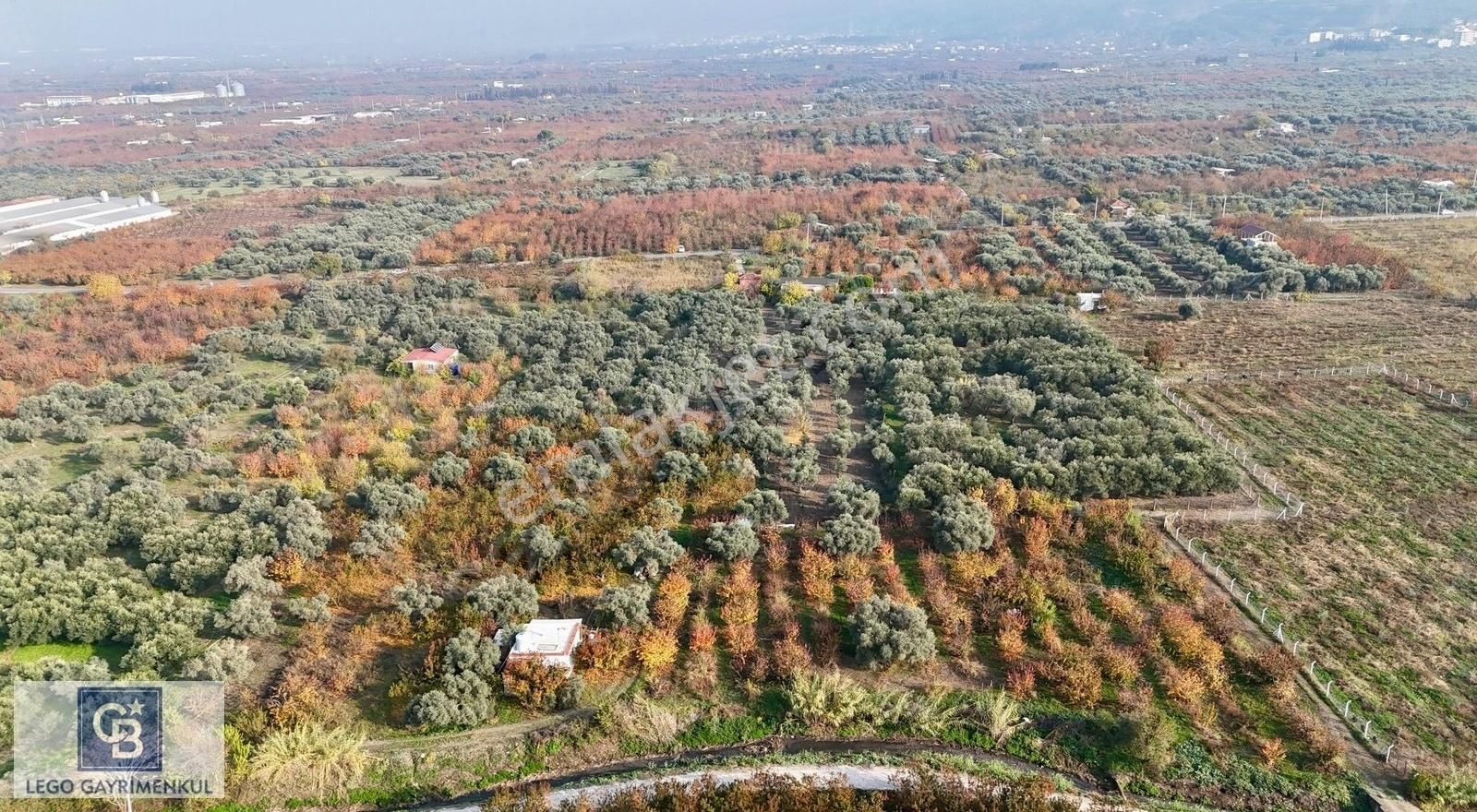 Kemalpaşa Ören 75.yıl Cumhuriyet Satılık Bağ & Bahçe Kemalpaşa Ören 75.yıl Mahallesi Satılık 5292m2 Bağ