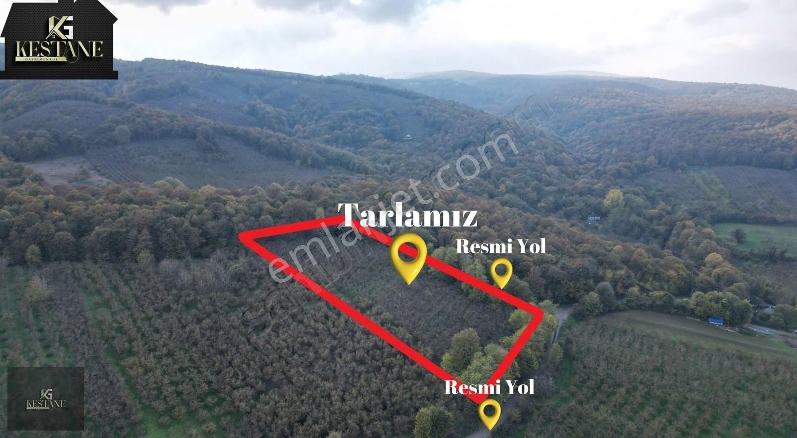 Serdivan Reşadiye Satılık Tarla Acil Satılık Geniş Parsel| Köy Merkezine Yakın