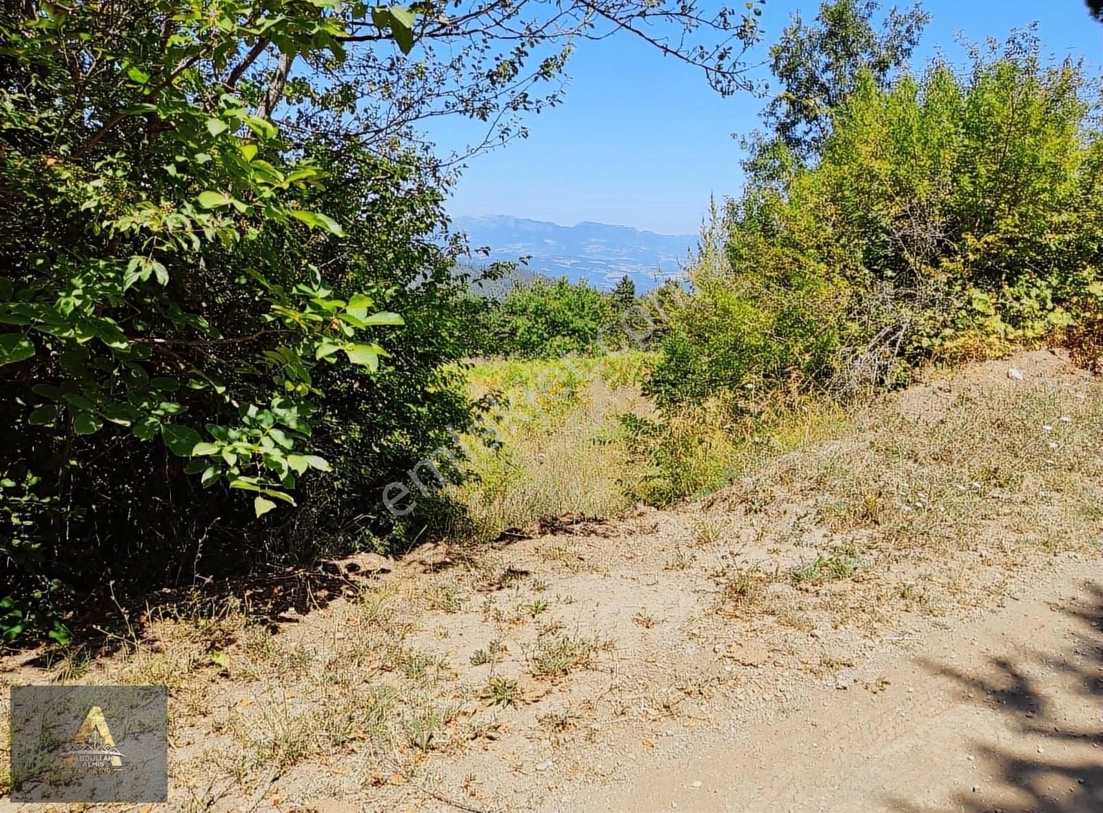 Gölpazarı Kavak Köyü (Şıhlar) Satılık Tarla Doğa İle İç İçe Yatırım Fırsatı 150 Metre Yakınında Çeşme Var