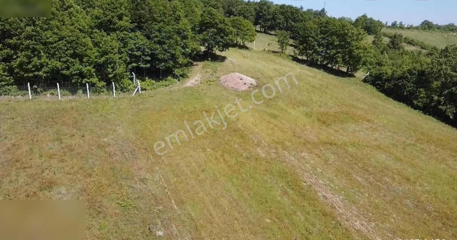 İznik Hacıosman Satılık Tarla Iznik Hacıosman Mh De Köye Yakin Göl Manzaralı Çiftlik Arazimiz