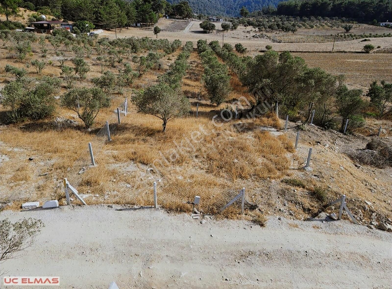 Menderes Çile Satılık Bağ & Bahçe Üç Elmastan Hayalini Kurduğunuz Denize Yakın 250m²muhteşem Bahçe