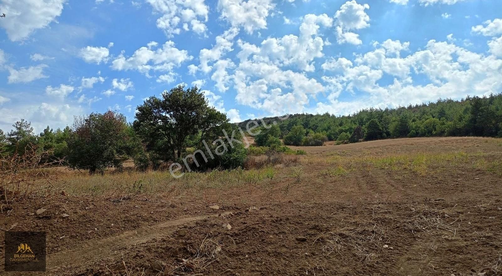 Geyve Karacaören Satılık Tarla Sakarya Geyve Karacaörende Satılık1215 M2 Tarla