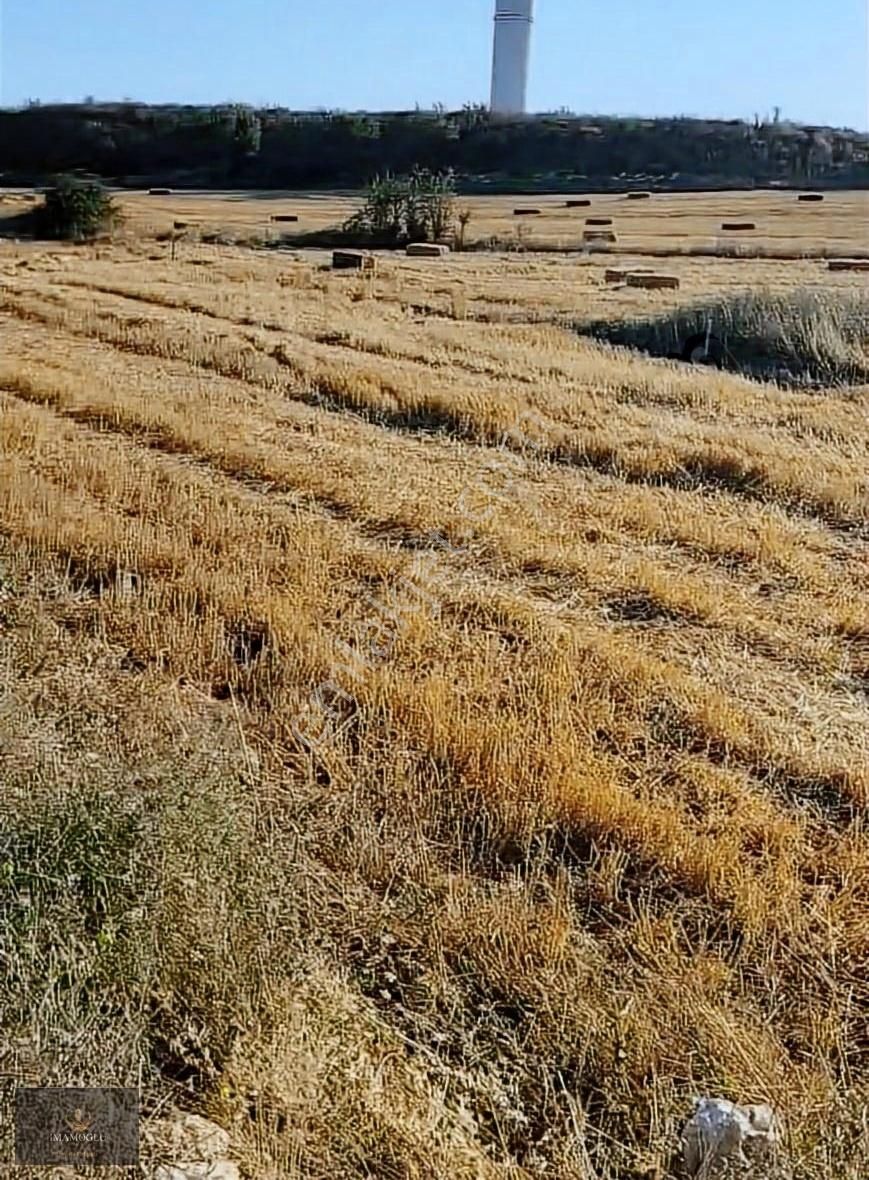 Vize Evrencik Köyü Satılık Tarla İmamoğlu Dan Kırlareli-vize De Doğa İçinde 270 M2 Yola Cephe