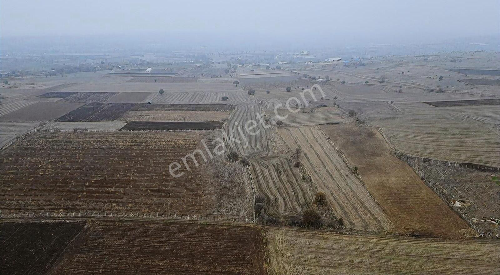 Altıeylül Pamukçu Satılık Tarla Good İnvest Yön Den Altıeylül Pamukçuda Yatırımlık Arazi