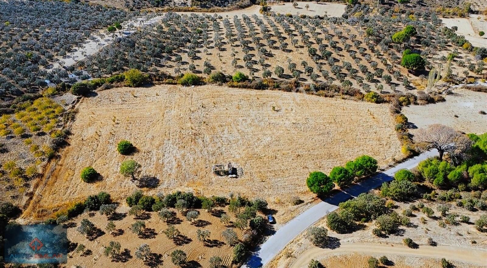 Burhaniye Yabancılar Satılık Tarla Aktif'ten Merkeze Yakın 17640 M² Çiftlik Yapımına Uygun Tarla