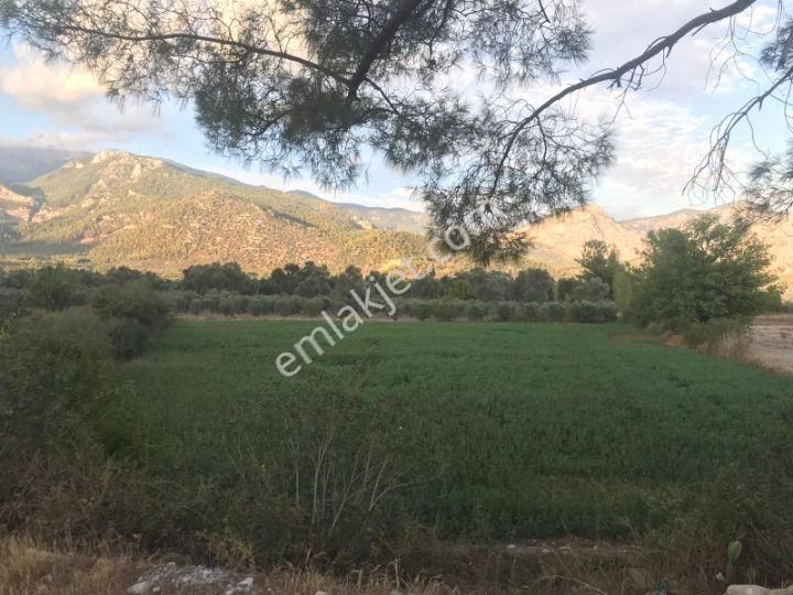 Satilık Arsa Tarla