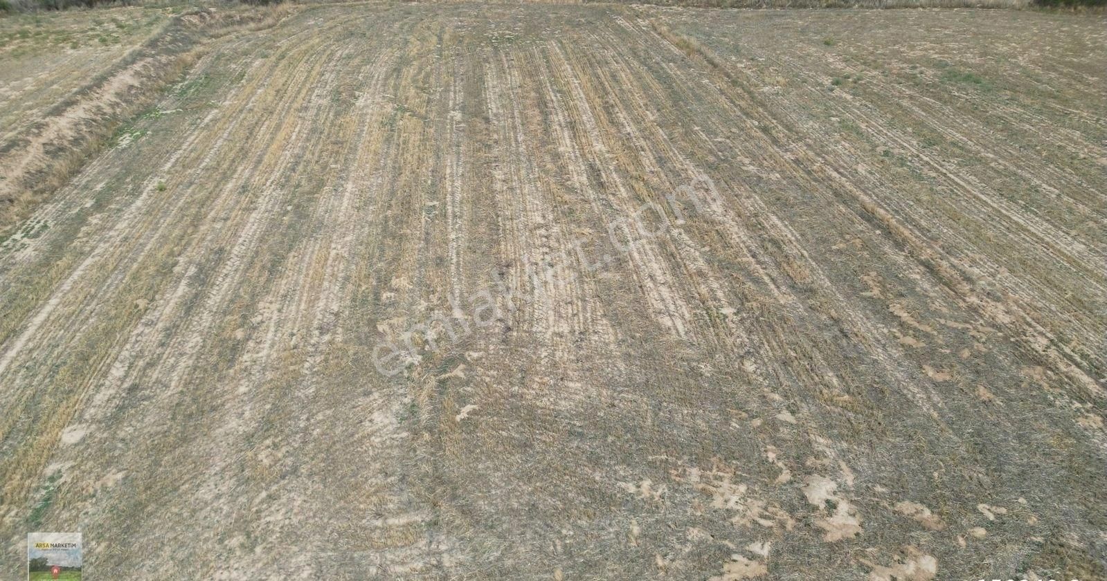 Afyon Dazkırı Yukarıyenicede 2.852 M2 Satılık Tarla