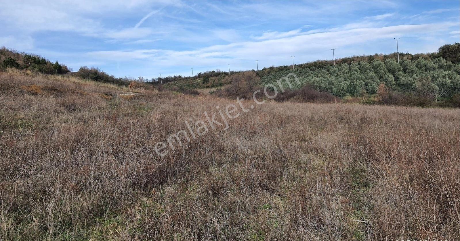 Doğa Manzaralı Satılık 353 M2 Uygun İmarlı Arsa - Görsel 17