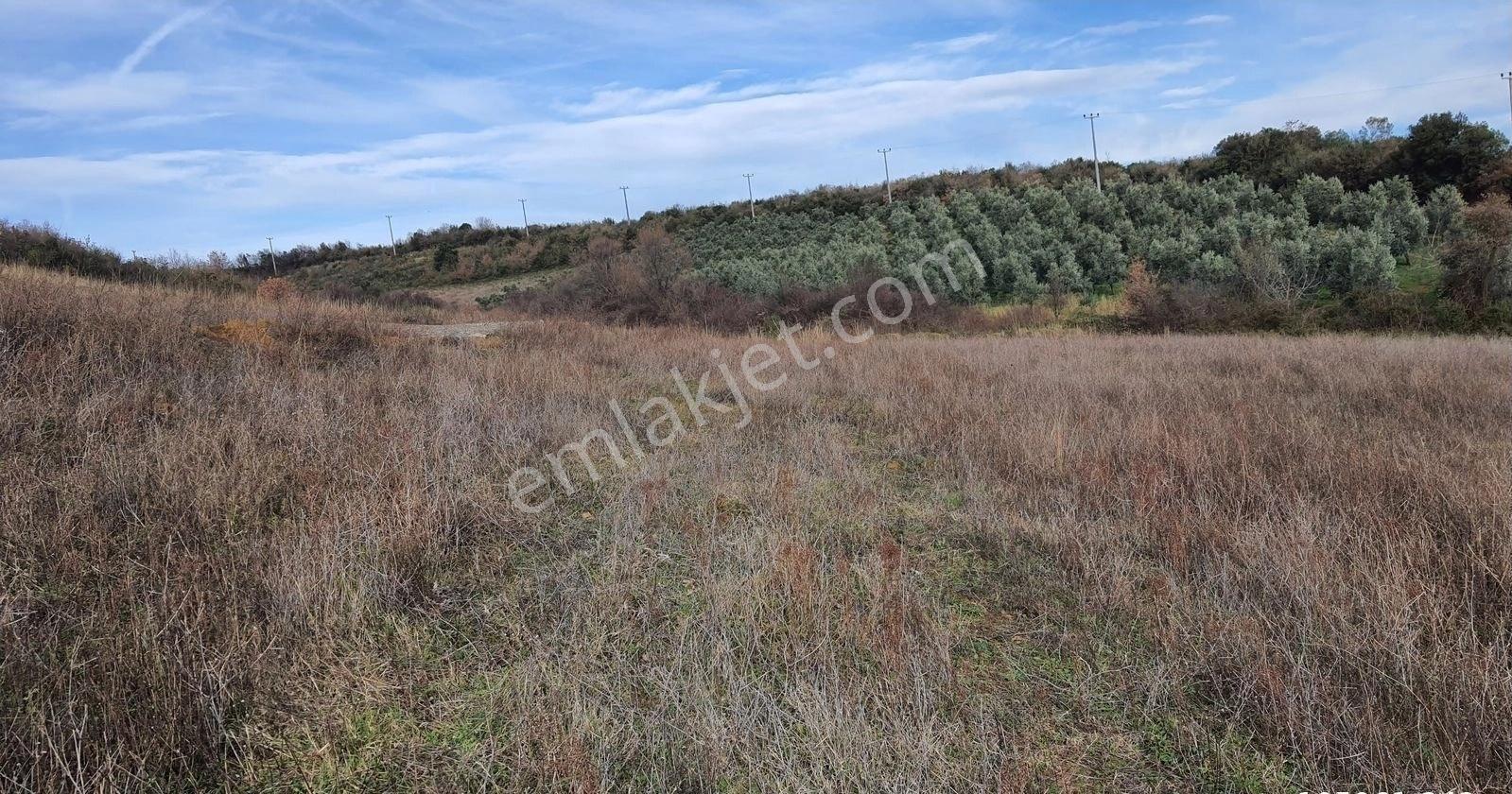 Doğa Manzaralı Satılık 353 M2 Uygun İmarlı Arsa - Görsel 2