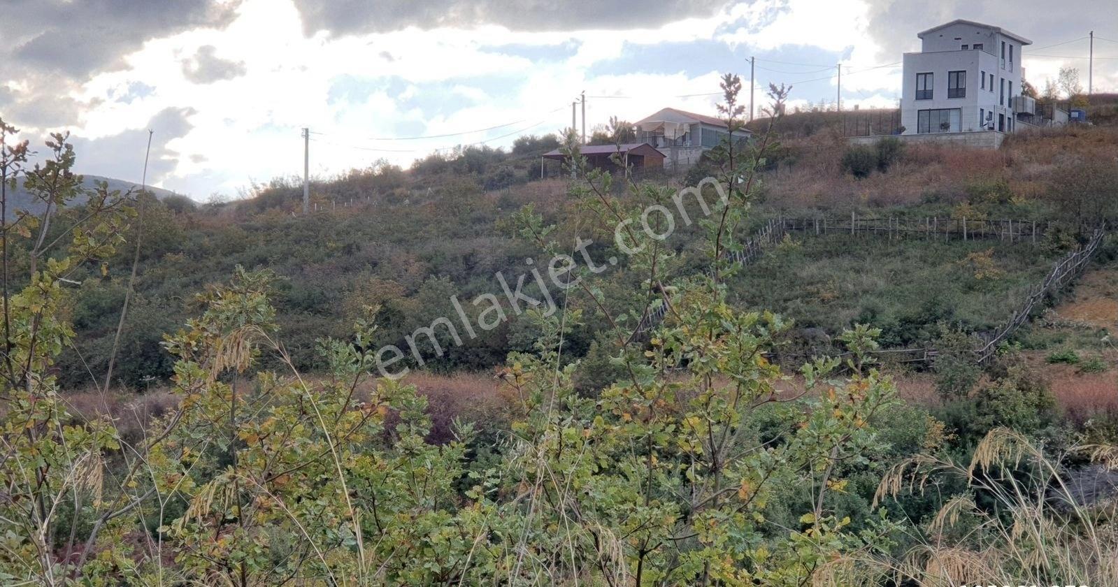 Deniz Ve Doğa Manzara"lı Önü Kapanmaza Köşe Arsa - Görsel 2