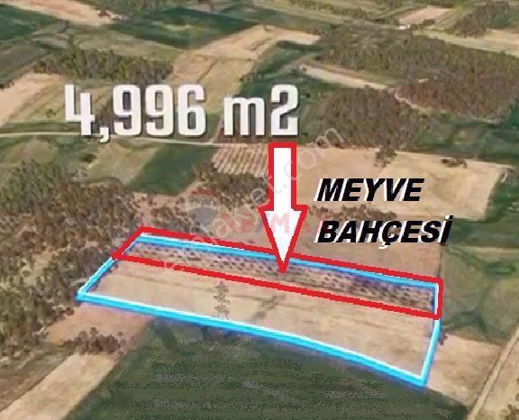 Bucak Gündoğdu Köyü (Yeni) Satılık Bağ & Bahçe Burdur Bucak Gündoğdu Köyü 4996 M² Satılık Meyve Bahçesi