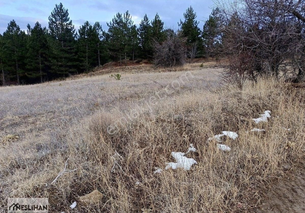 Serinhisar Kocapınar Satılık Tarla Kocapınar Honaz/dağı Ve Kırkpınar Yakını 18,429 M2 Tarla Satılıktır