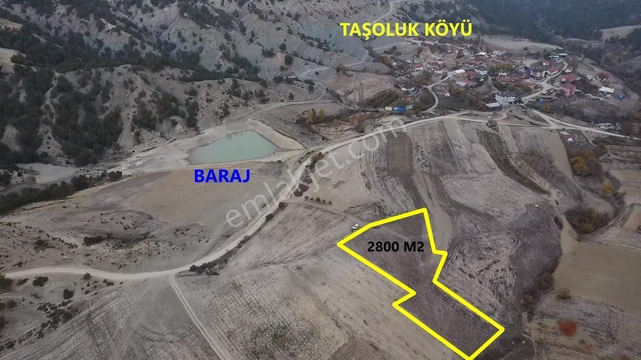 Geyve Gazi Süleyman Paşa Satılık Tarla Hayat Gayrimenkulden Sakaryanın Geyve İlçesi Taşoluk Köyünde Satılık Arsa