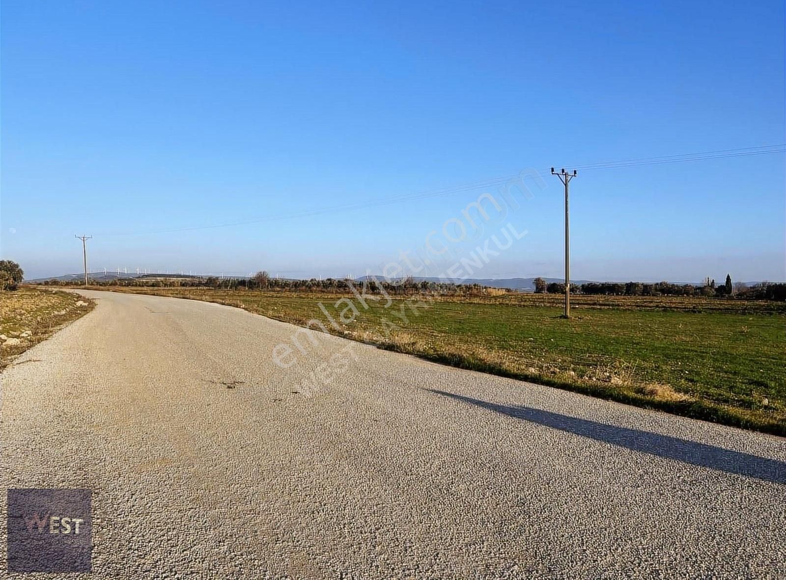 Çanakkale Merkez Kumkale Köyü (Şehitler) Satılık Tarla Çanakkale Kumkalede Asfalt Yola Cephe Müstakil Parsel