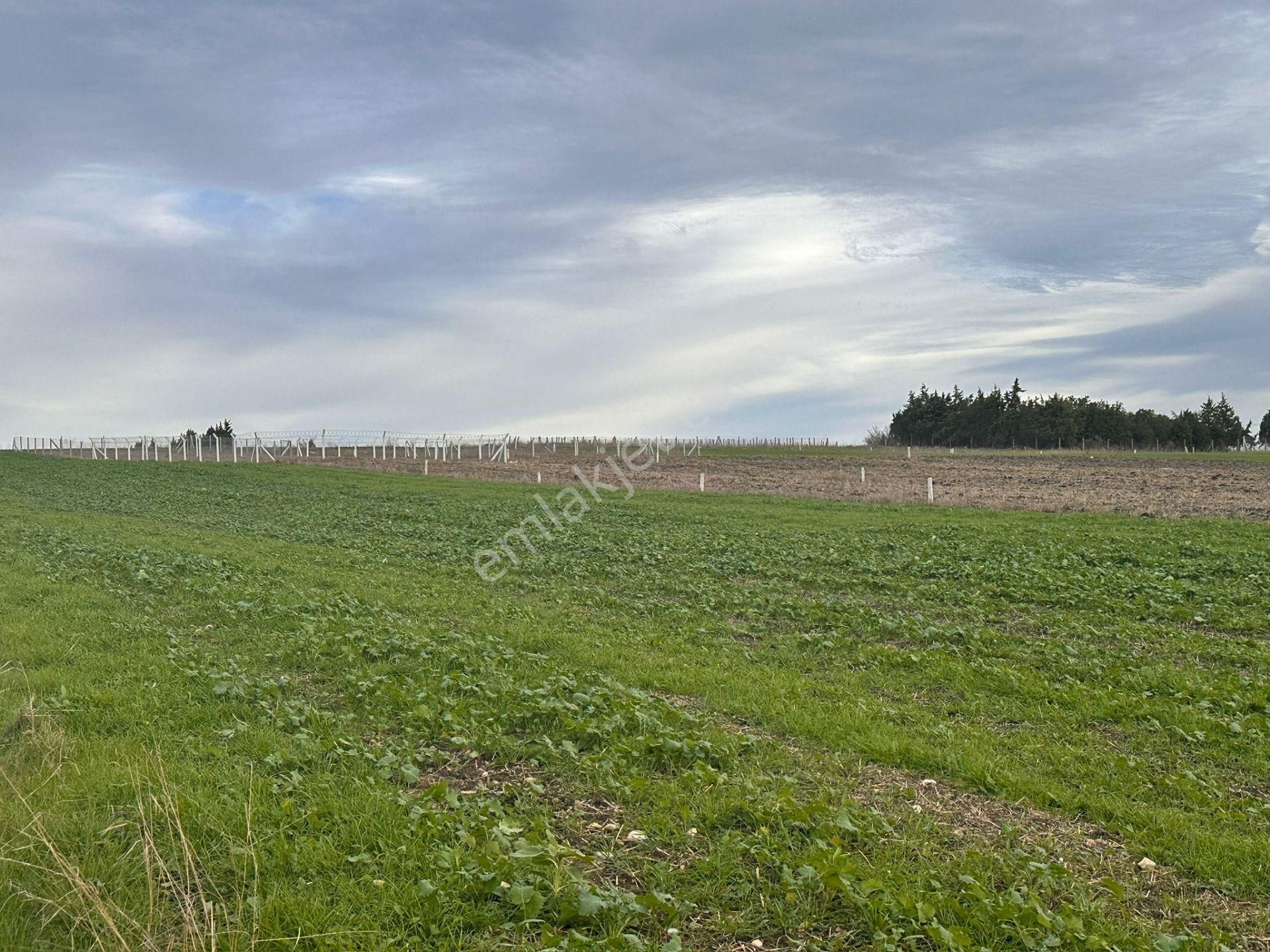 Silivri Çeltik Satılık Tarla Silivri Çeltik 470 M2 Alıcısına Yüksek Pirim Sağlayacak Yatırımlık Kupon Arsa