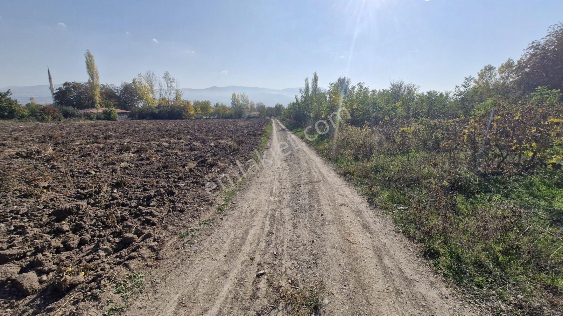 Büyükyıldız Köyünde İçinde 3+1 Evi Olan Satılık Tarla - Görsel 8