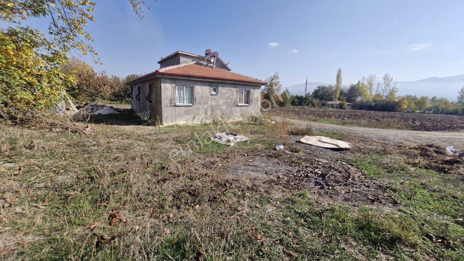 Büyükyıldız Köyünde İçinde 3+1 Evi Olan Satılık Tarla - Görsel 3