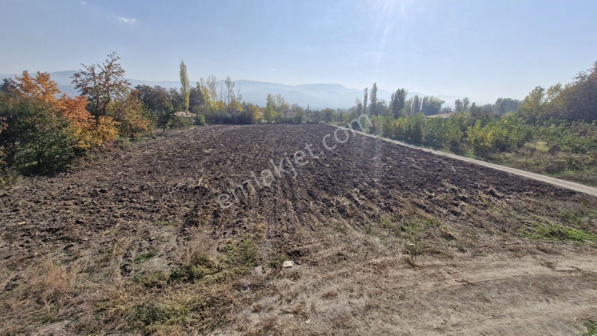 Büyükyıldız Köyünde İçinde 3+1 Evi Olan Satılık Tarla - Görsel 25