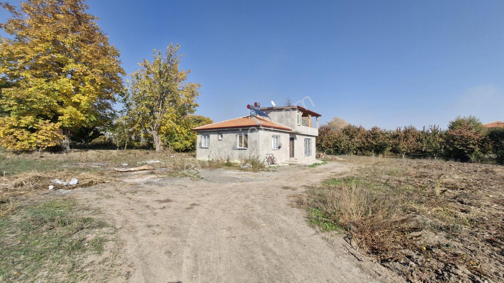 Büyükyıldız Köyünde İçinde 3+1 Evi Olan Satılık Tarla - Görsel 5