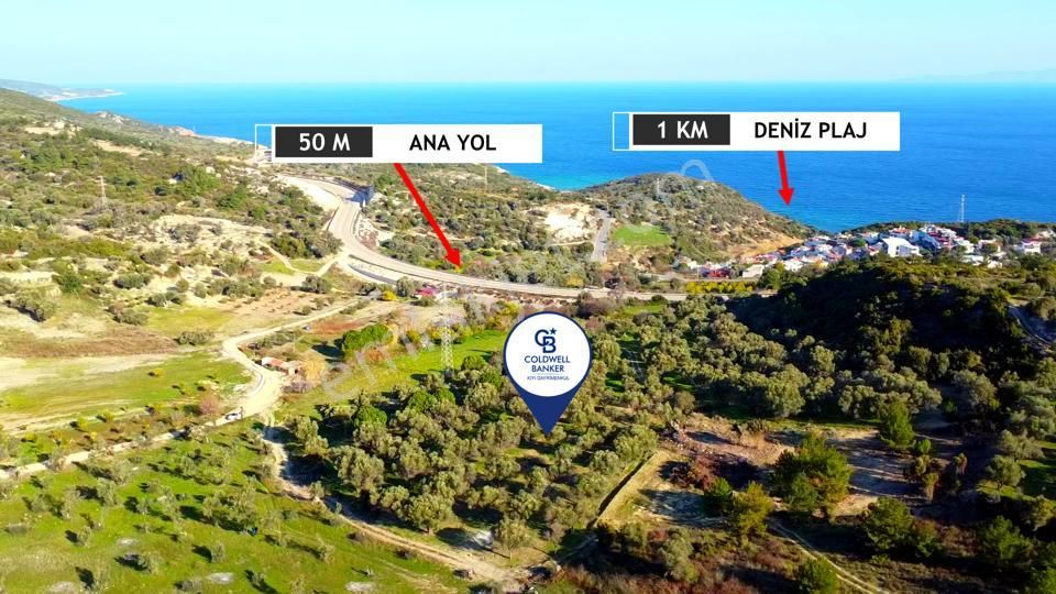 Karaburun Mordoğan Azmak Mevkiinde Deniz Manzaralı Tarla - Görsel 4