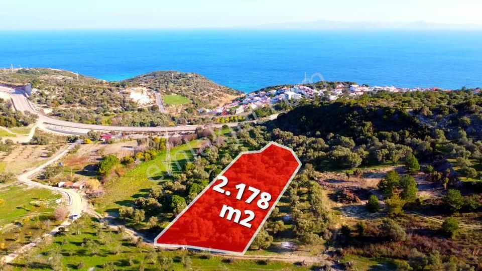 Karaburun Mordoğan Azmak Mevkiinde Deniz Manzaralı Tarla - Görsel 2