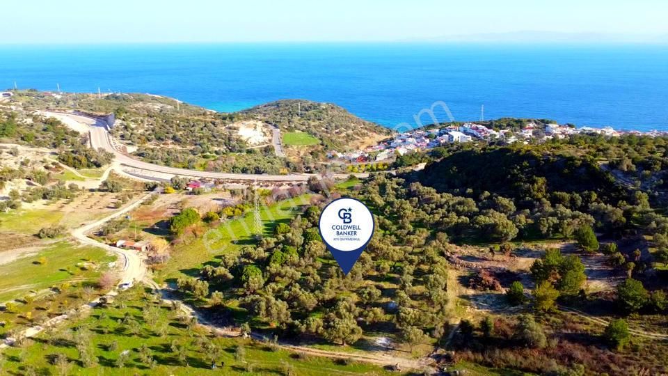 Karaburun Mordoğan Azmak Mevkiinde Deniz Manzaralı Tarla - Görsel 8