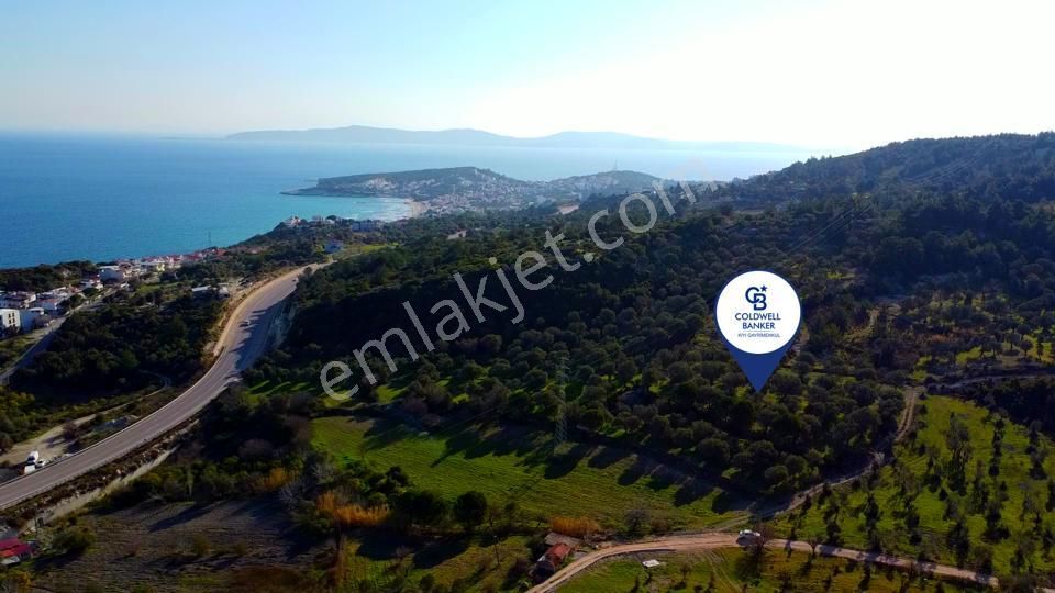 Karaburun Mordoğan Azmak Mevkiinde Deniz Manzaralı Tarla - Görsel 7