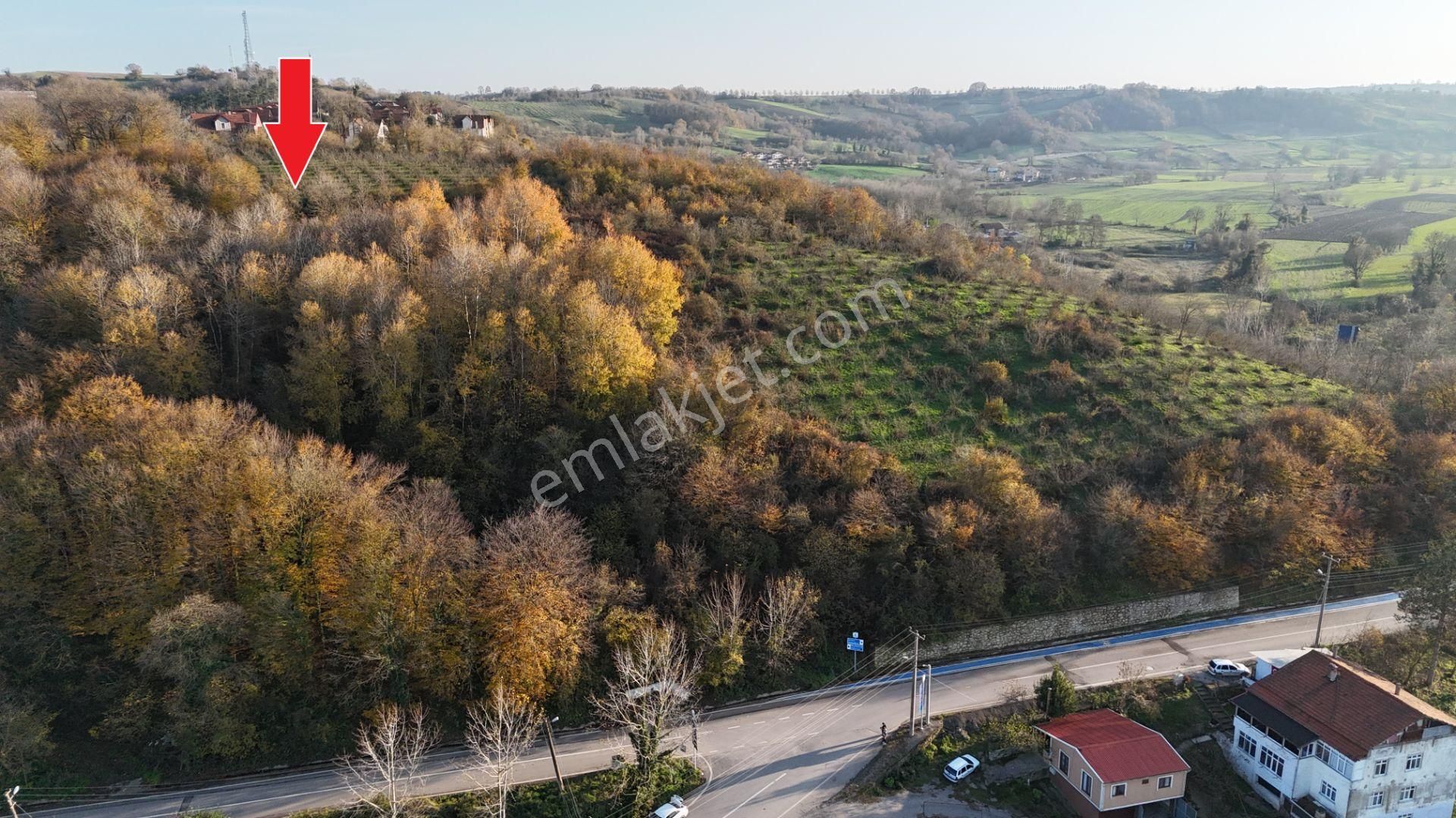 Kandıra Çarşı Satılık Villa İmarlı Kandıra'da Villa İmarlı 270m2 İmarlı İfrazlı Tapulu Müstakilarsa