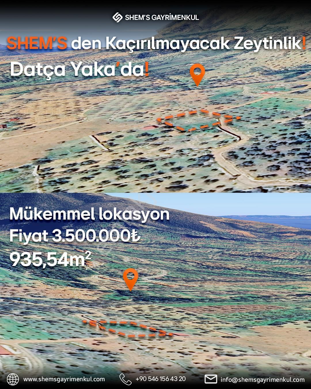 Datça Yaka Satılık Tarla Satılık Zeytinlik - Datça Yaka