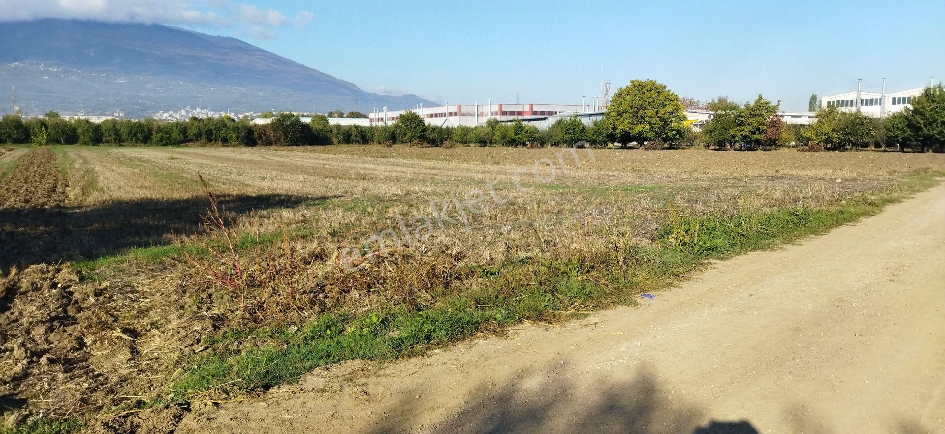 E.m.a Emlak Gayrimenkul İnegöl Yeniceköyde Satılık 6300 M2 Tarla - Görsel 5