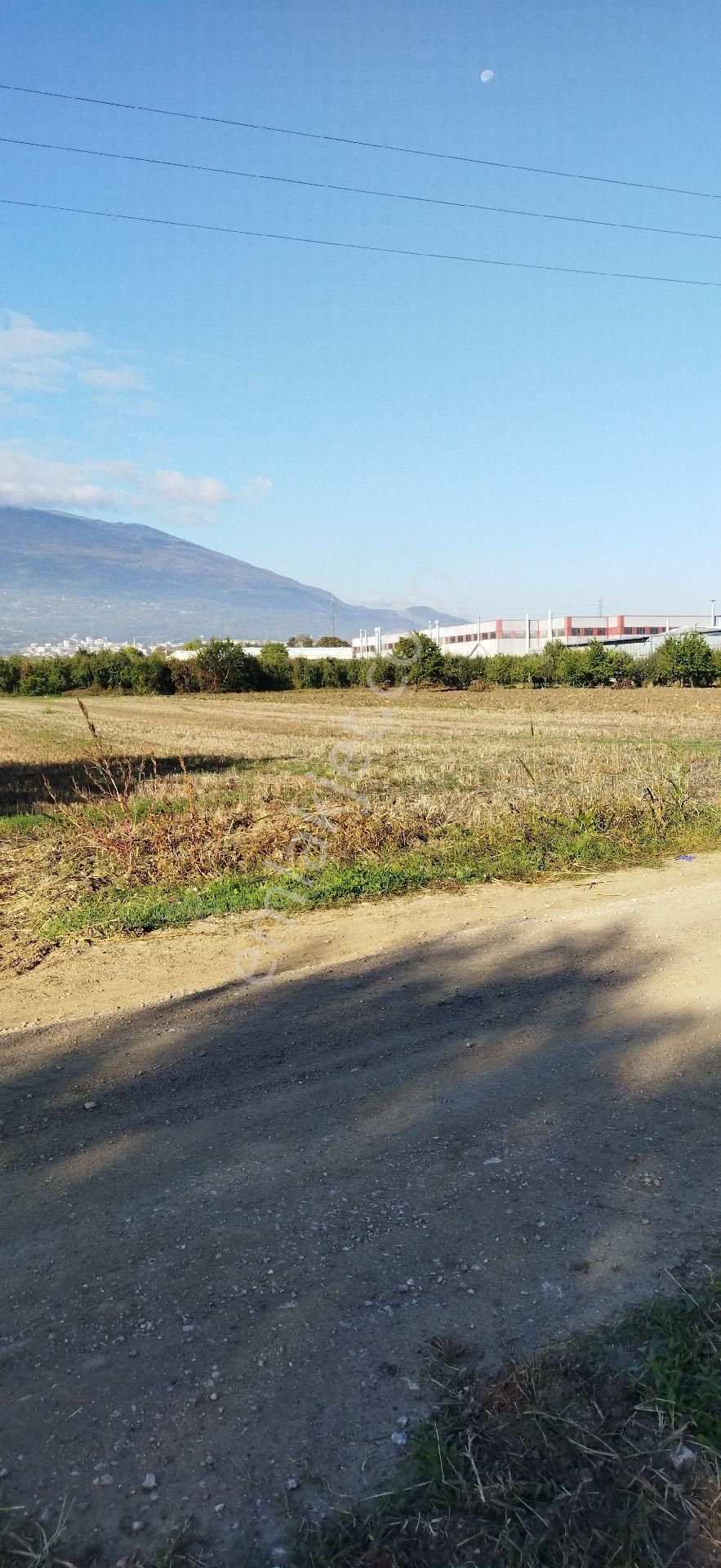 E.m.a Emlak Gayrimenkul İnegöl Yeniceköyde Satılık 6300 M2 Tarla - Görsel 3