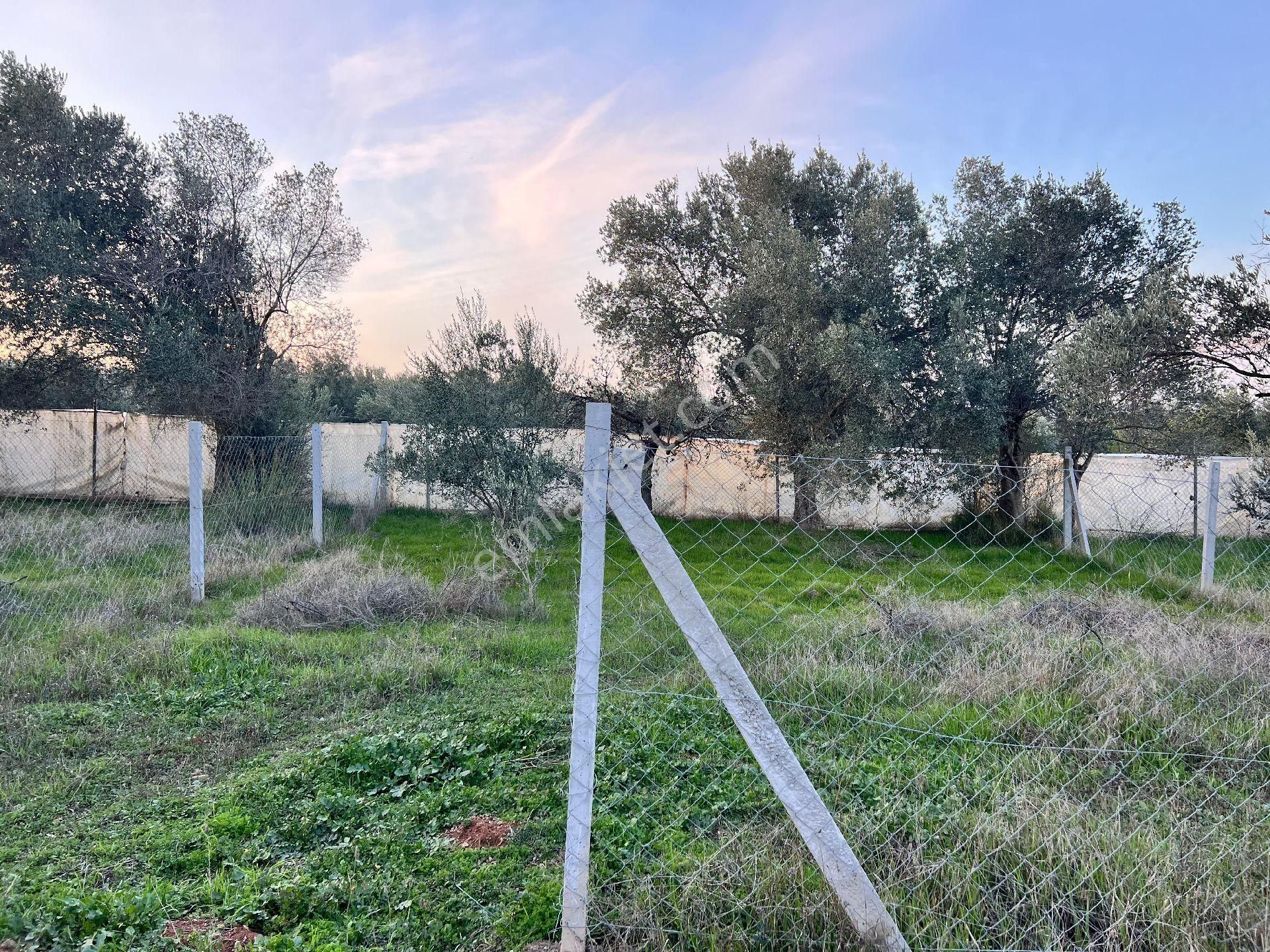 Derekoy 202m² Bahçe - Görsel 6