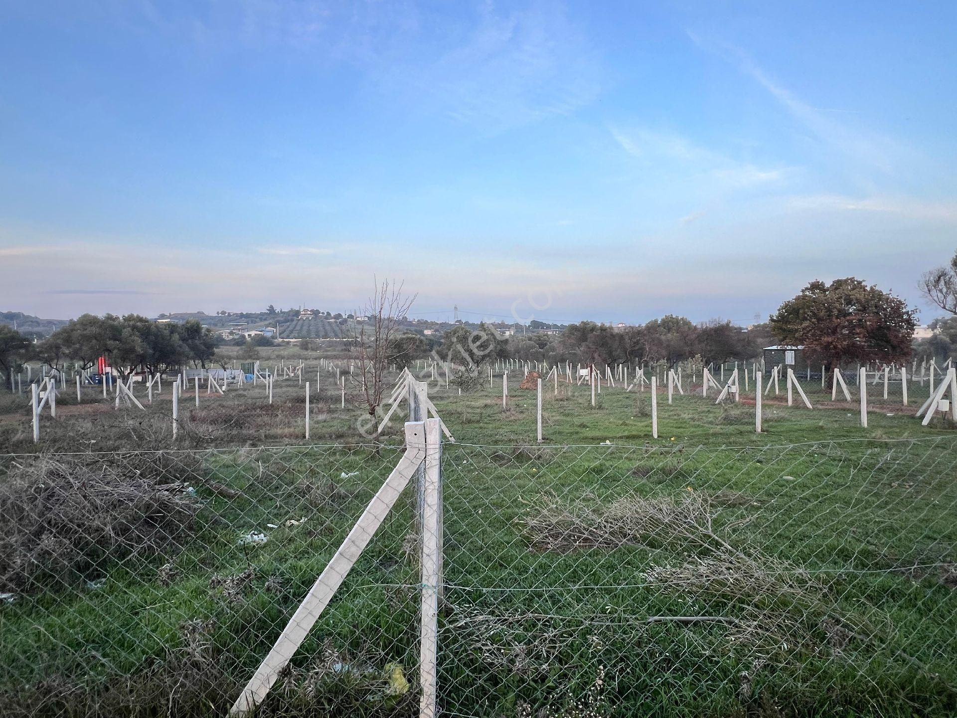 Derekoy 202m² Bahçe - Görsel 7