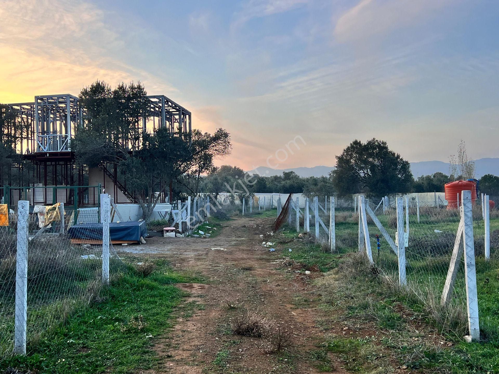 Derekoy 202m² Bahçe - Görsel 2