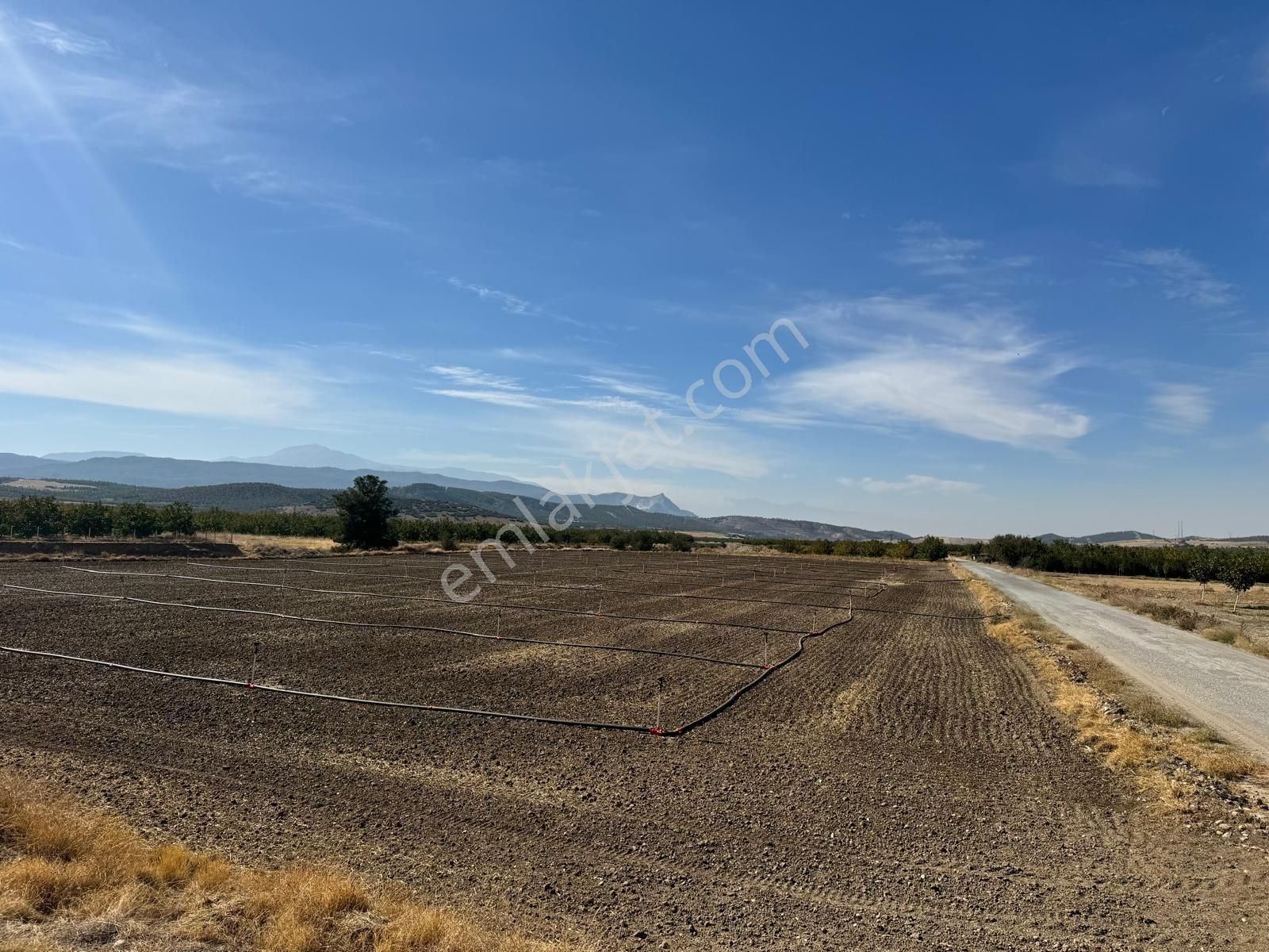 Bozkurt Alikurt Satılık Tarla Denizli Bozkurt Alikurt'ta *eski Yola Sıfır *sulamalı Sahası İçinde Sulanabilir 11.000m2*tarla