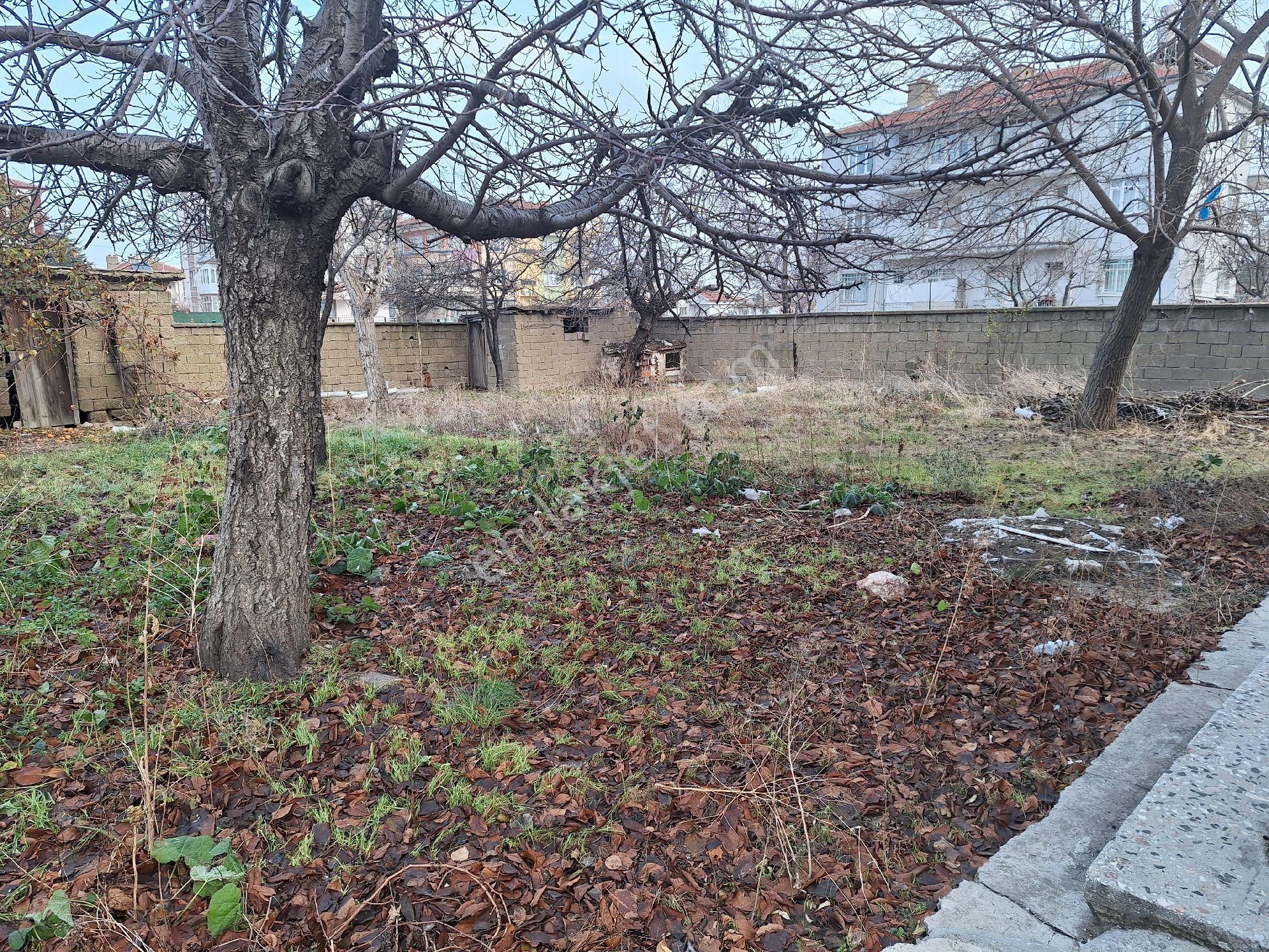 Daglı Emlaktan İstasyon Mahallesinde - Görsel 8