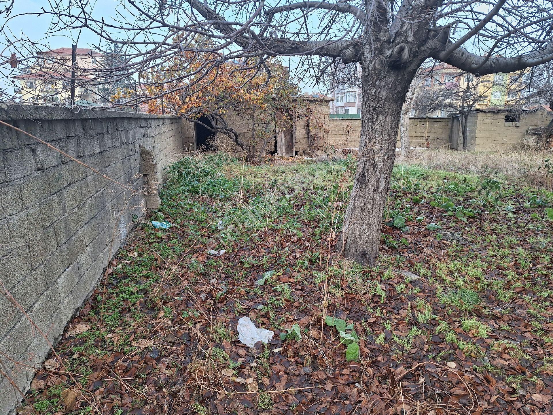 Daglı Emlaktan İstasyon Mahallesinde - Görsel 6