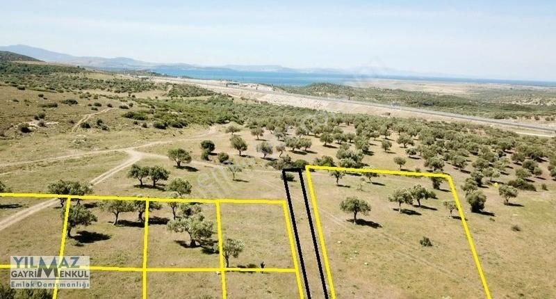 Bergama Zeytindağ Satılık Villa İmarlı Bergama Zeytindağ'da Deniz Manzaralı Yatırımlık Satılık Arsalar