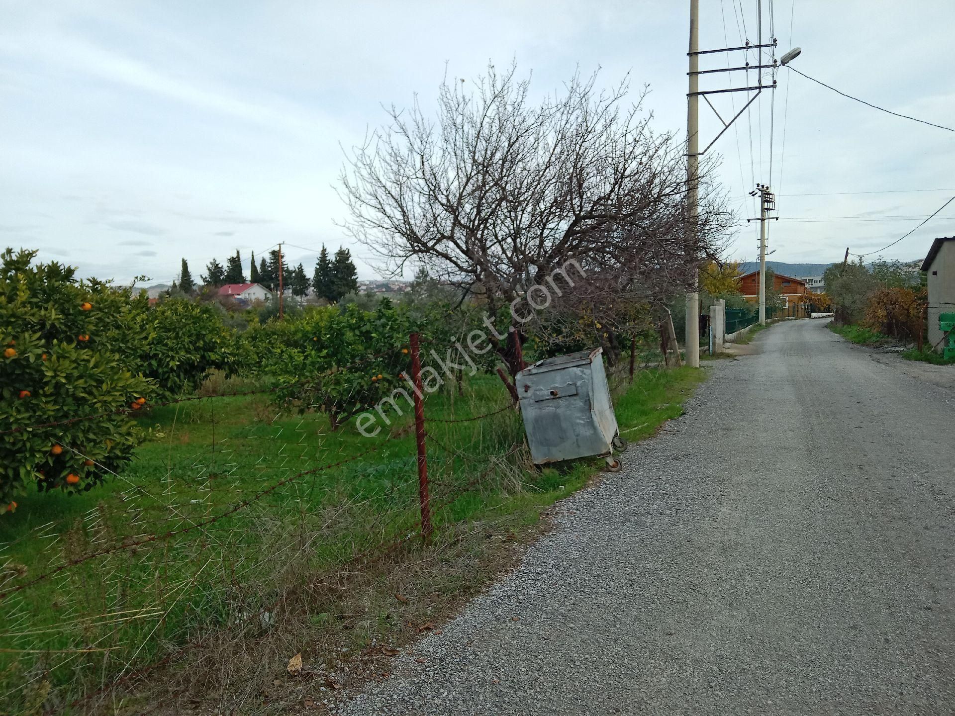 Seferihisar Ulamış Satılık Tarla Ulamış Mahallesi Satılık Arsa Yol Cepheli