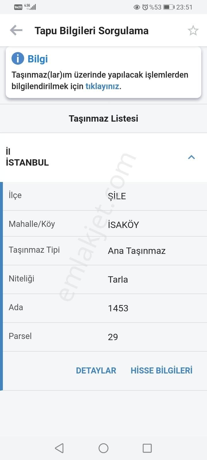 Ağva Nehir Çepe Cep Sıfır Düz İskele Yeri Hazır Dere De Balık Tutuluyor Temiz - Görsel 4