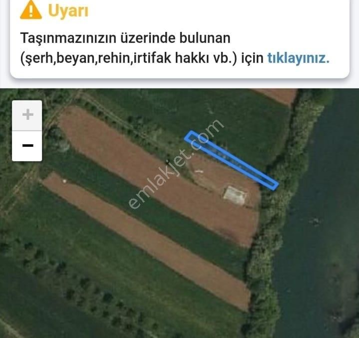 Ağva Nehir Çepe Cep Sıfır Düz İskele Yeri Hazır Dere De Balık Tutuluyor Temiz