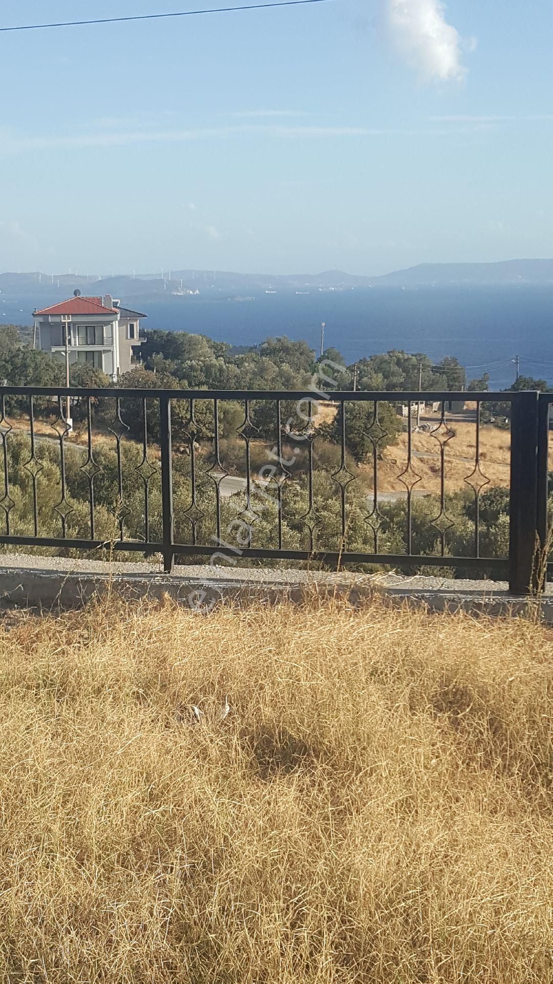 Ays'den Çandarlı Da Satılık Villa - Görsel 12